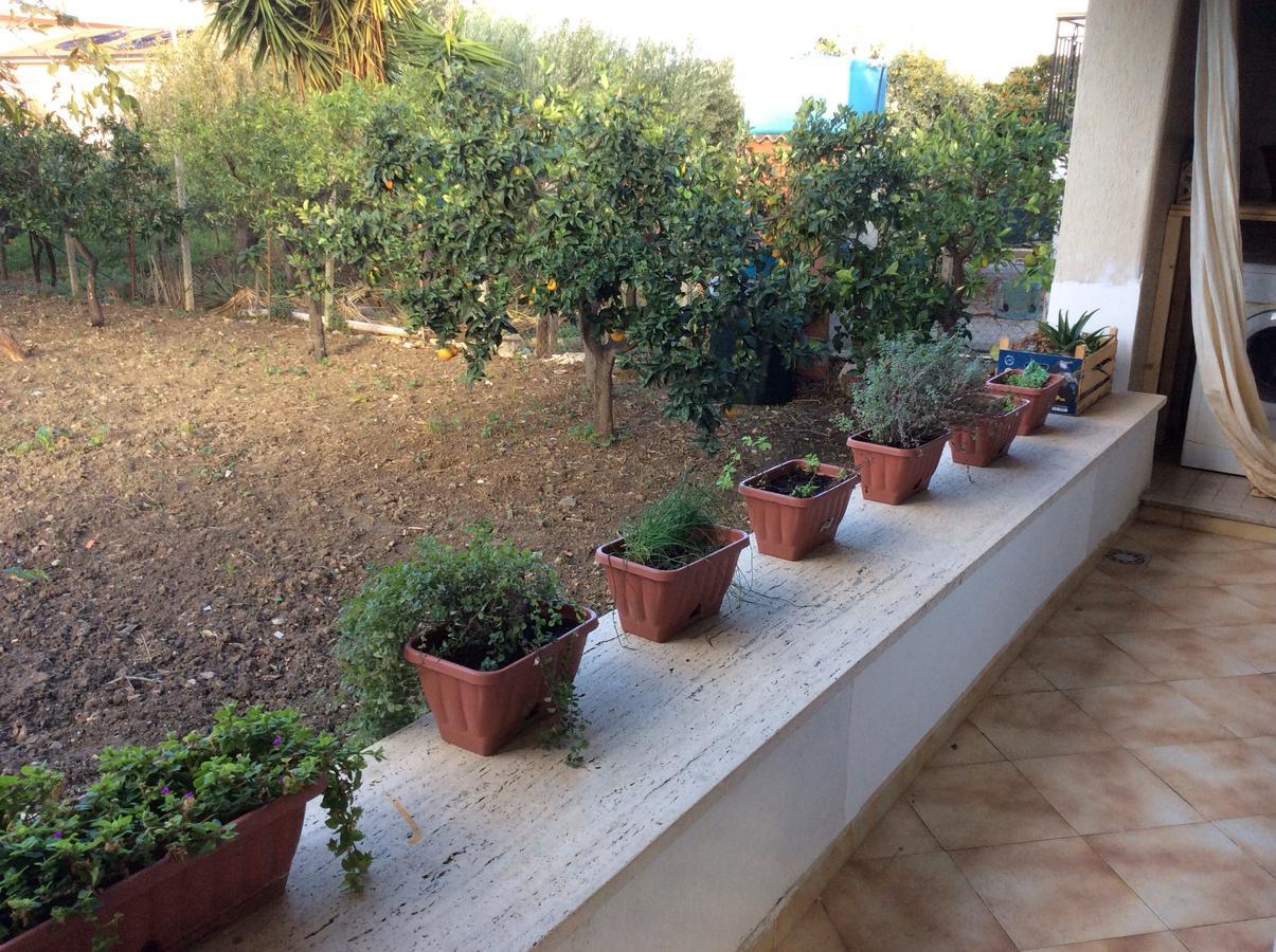 Bed and Breakfast Ifioridisicilia Campofelice Di Roccella Exterior foto